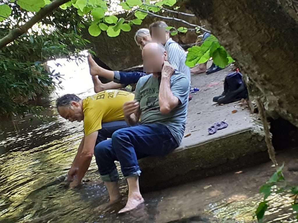 Illustration section