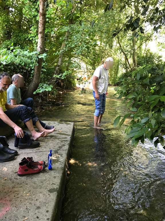 Illustration section