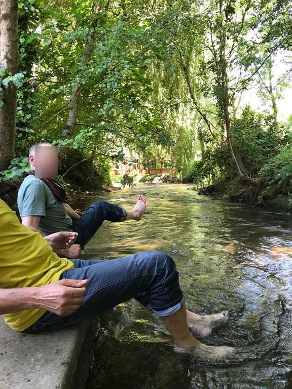 Illustration section