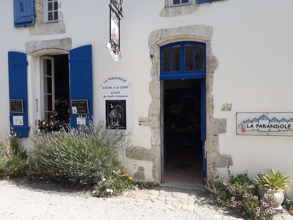 Illustration section