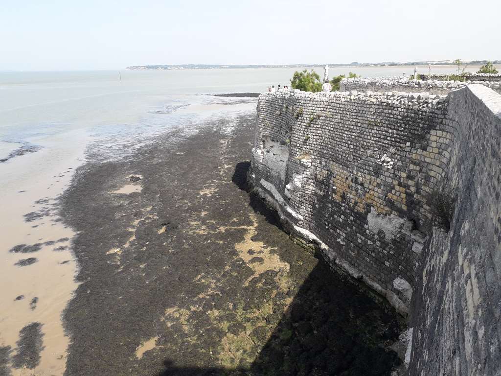 Illustration section