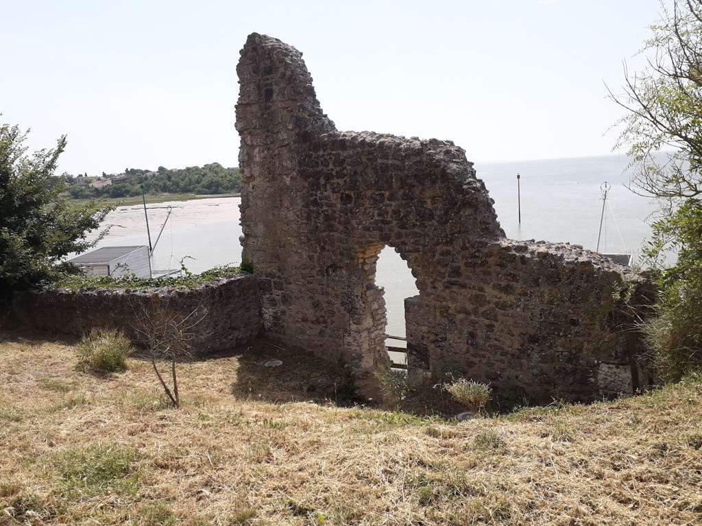 Illustration section