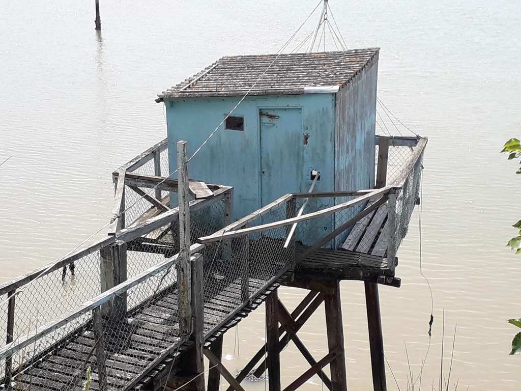 Illustration section