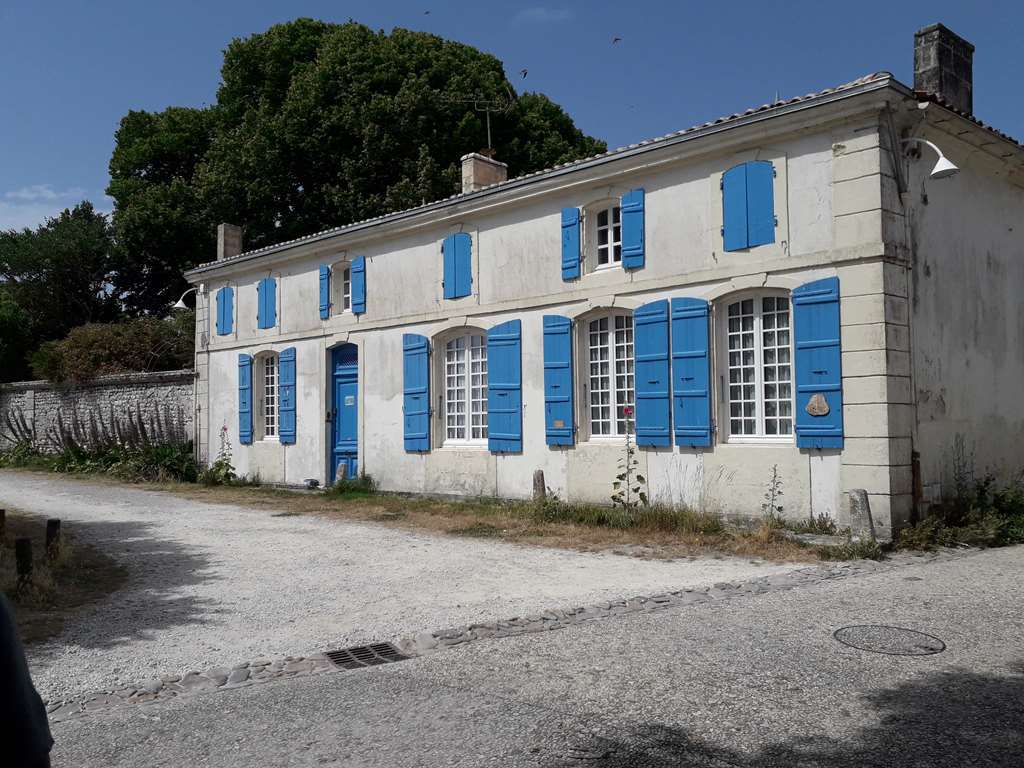 Illustration section