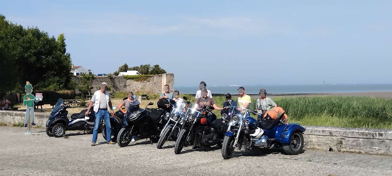 Illustration section