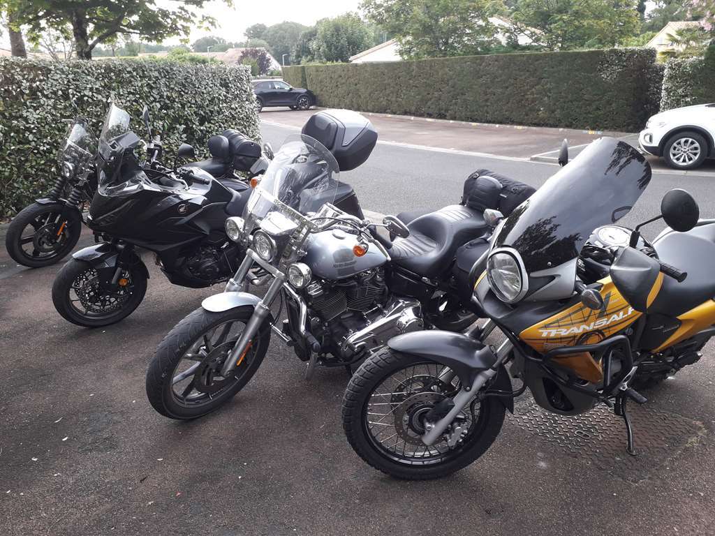 Illustration section