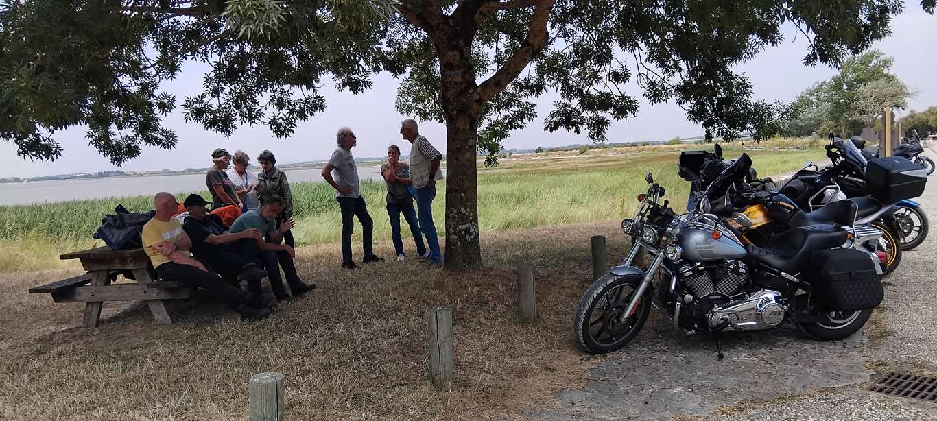 Illustration section