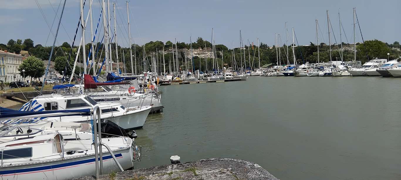 Illustration section