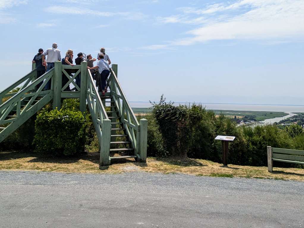 Illustration section