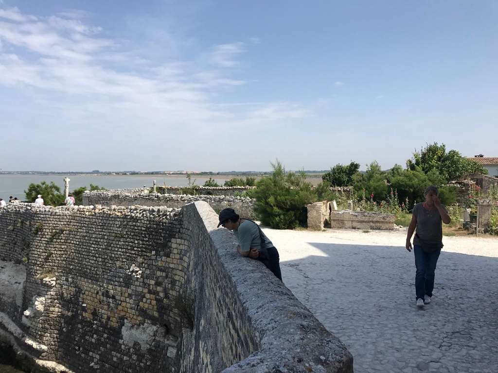 Illustration section