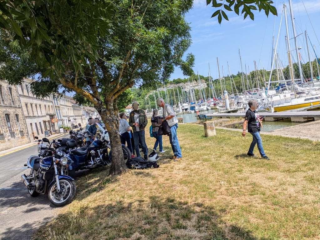 Illustration section