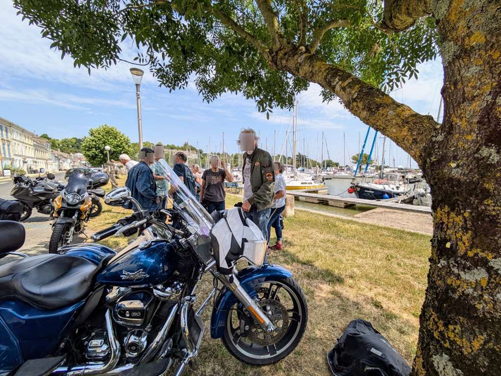 Illustration section