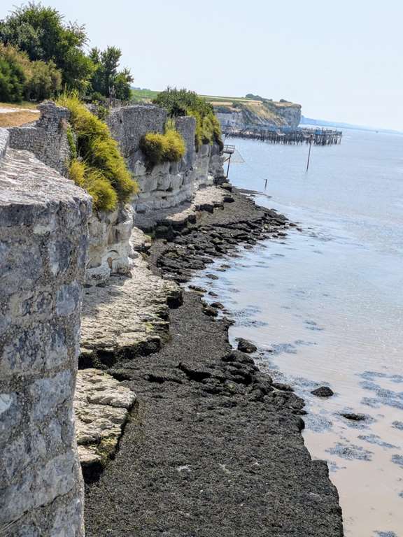 Illustration section