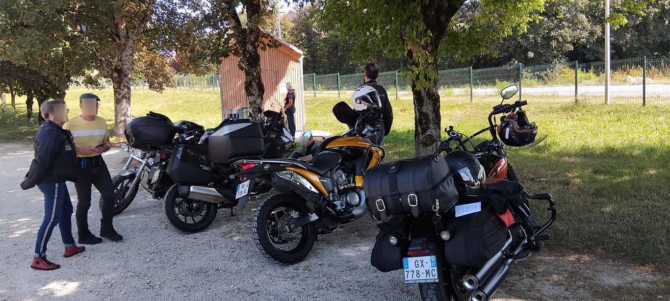 Illustration section