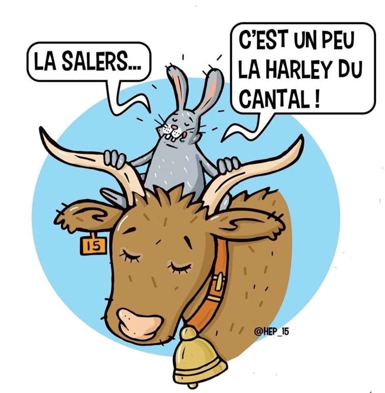 Illustration section