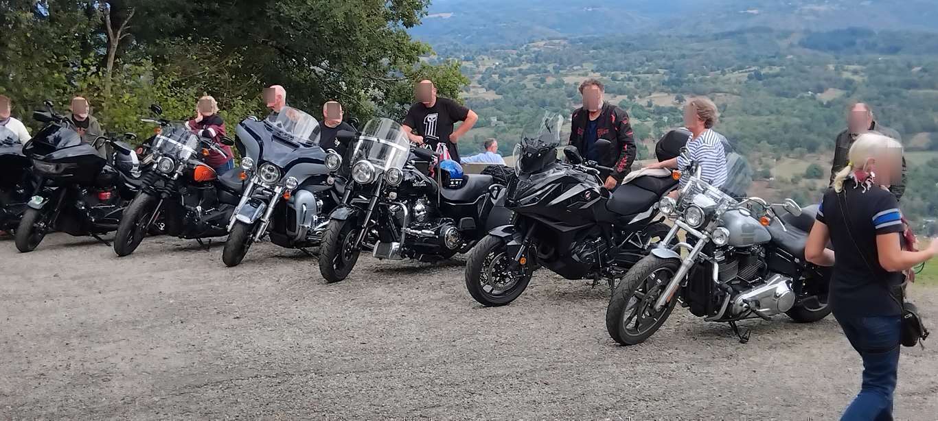 Illustration section