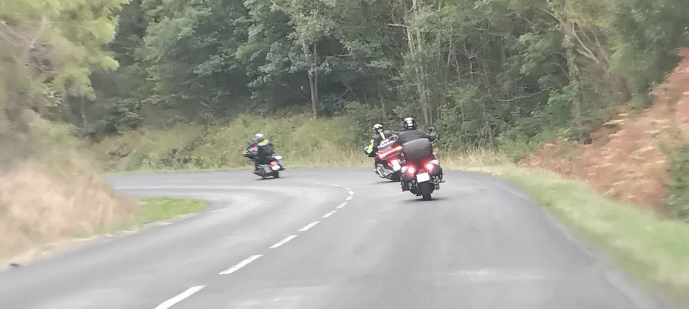 Illustration section