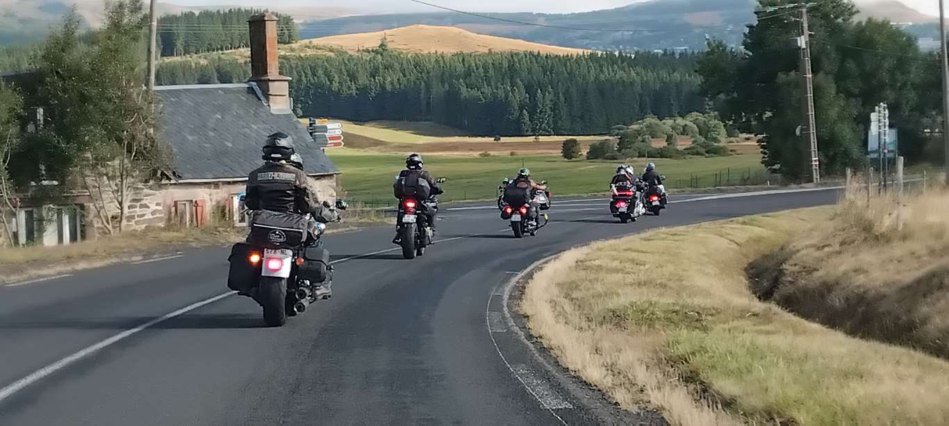 Illustration section