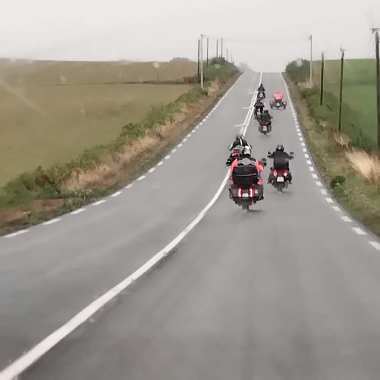 Illustration section