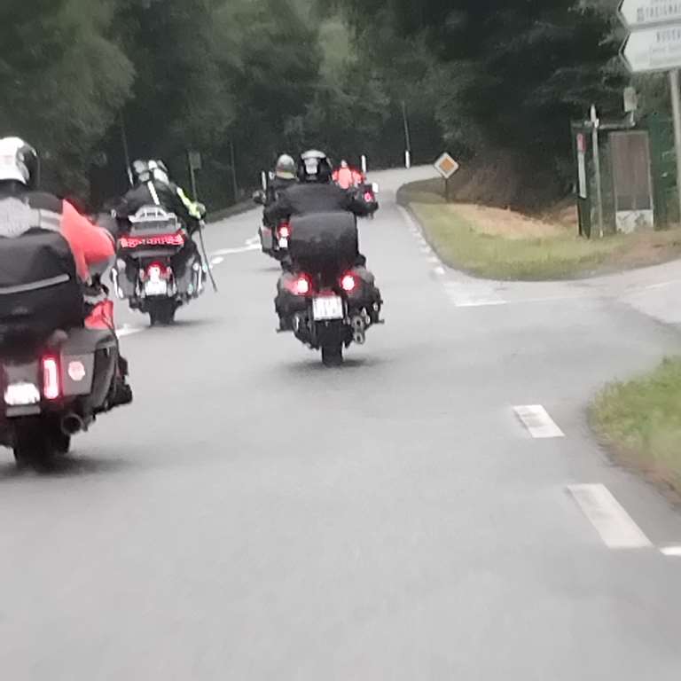 Illustration section