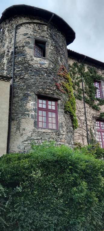 Illustration section